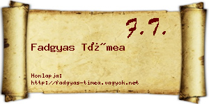 Fadgyas Tímea névjegykártya